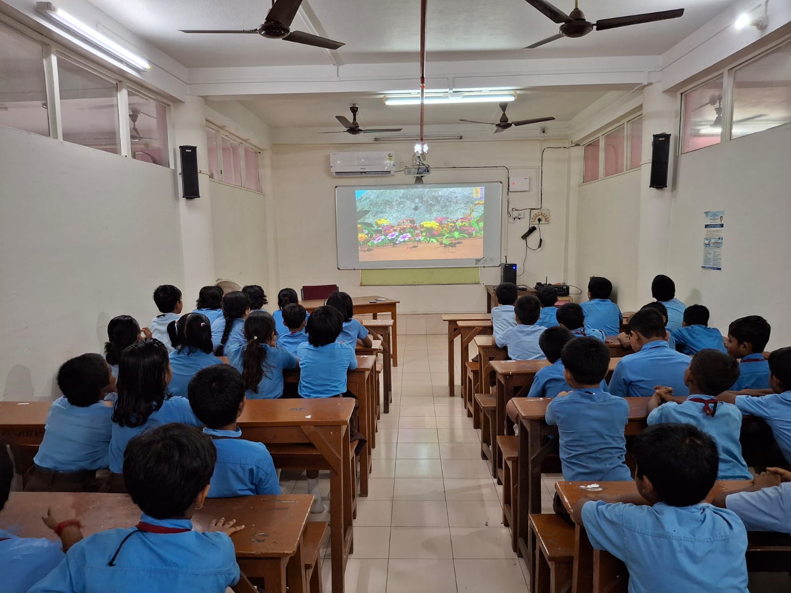 Primary-School-photo